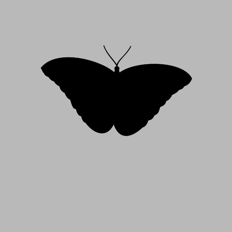 schmetterling