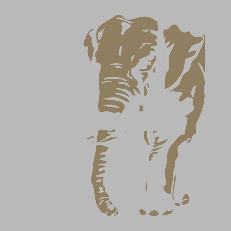 Congo - Eléphant
