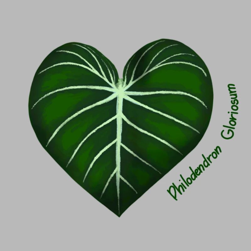 Philodendron Gloriosum
