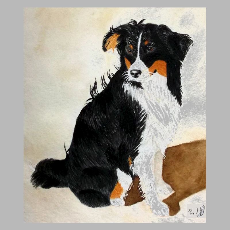 Sitzender Aussie Nanouk