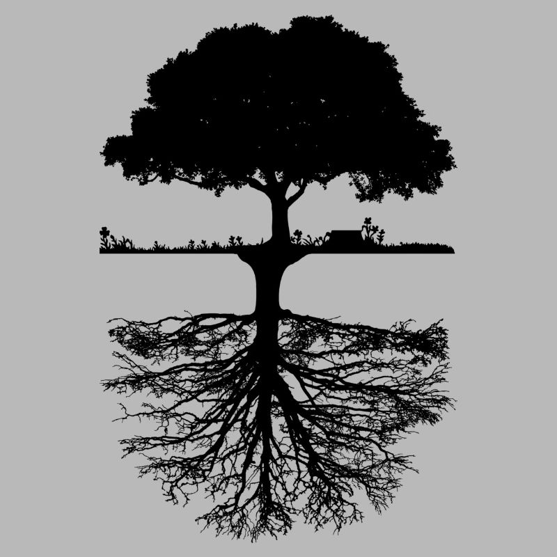 Baum