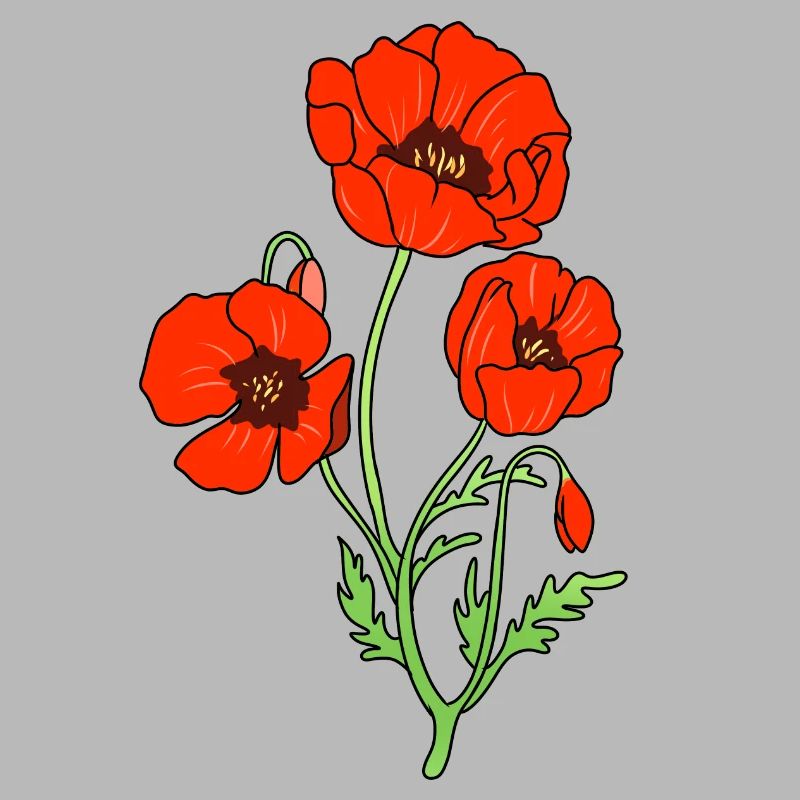 corn poppy