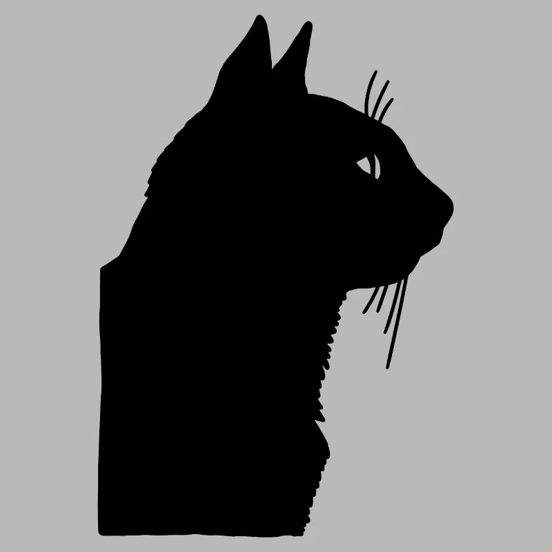 Chat noir