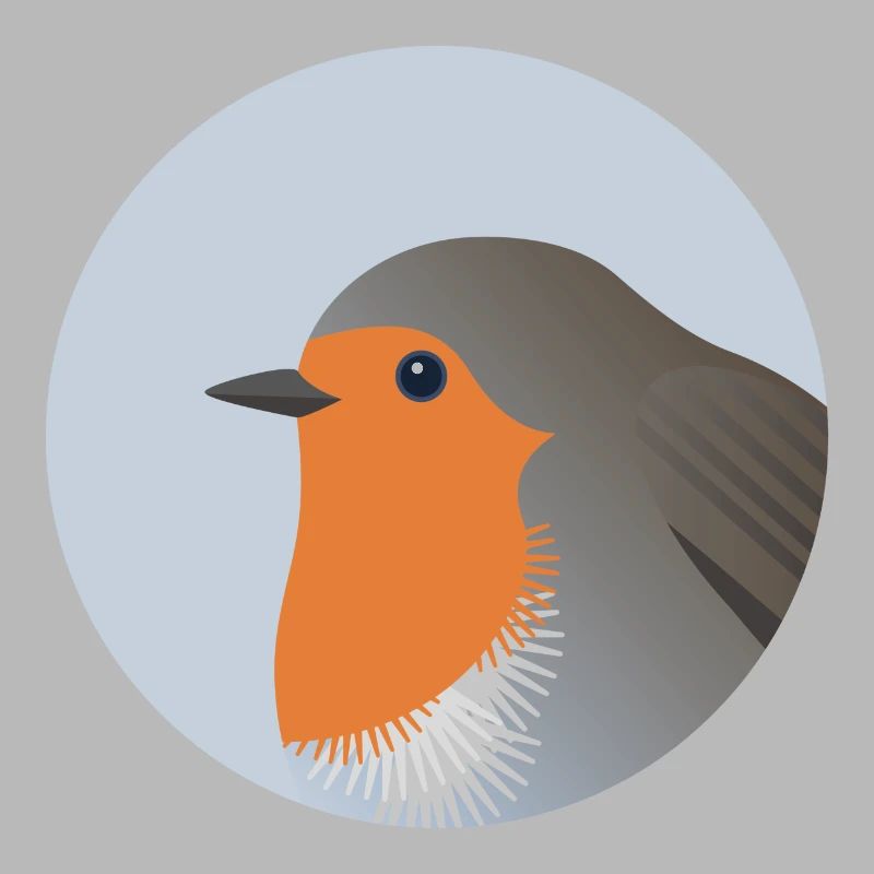 Robin oiseau Portrait impression/Illustration