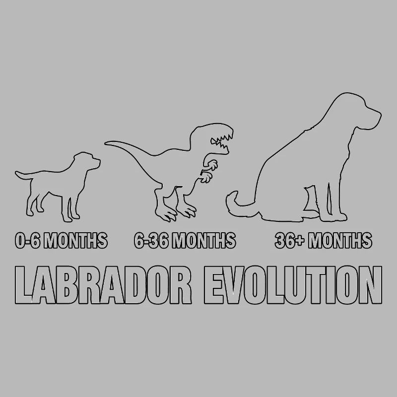 Labrador Evolution