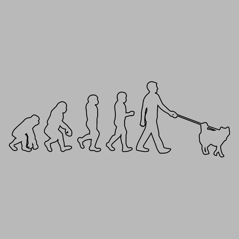 Husky Evolution