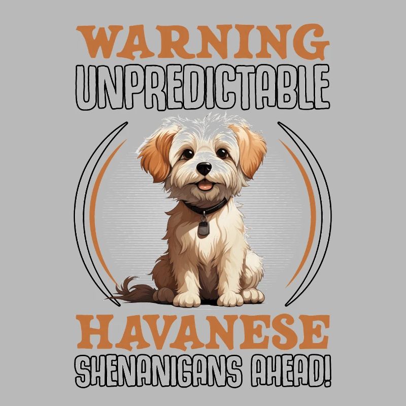 Warning unpredictable Havanese Shenanigans ahead