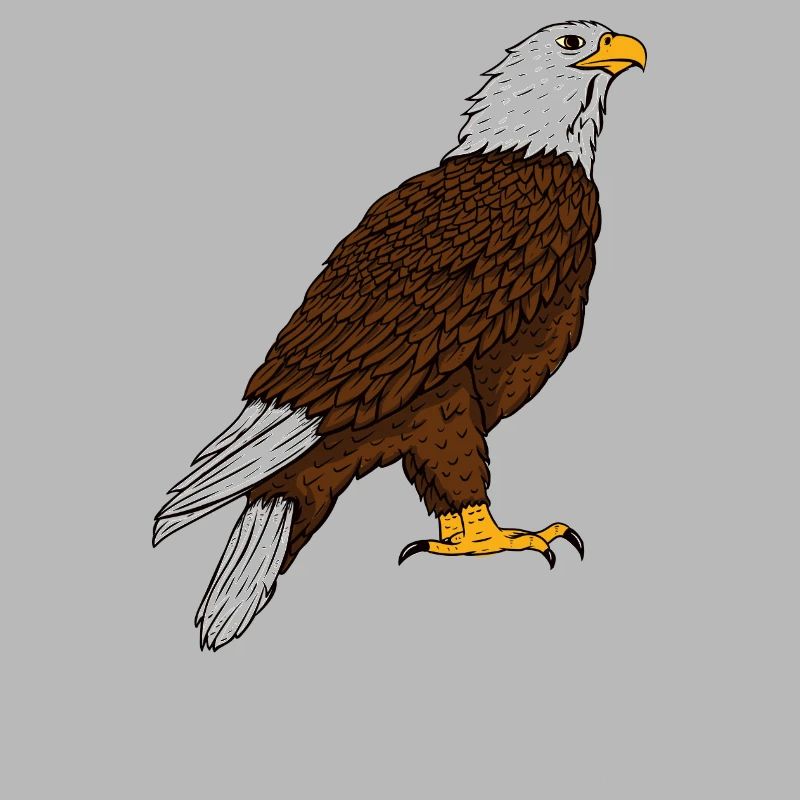 Adler