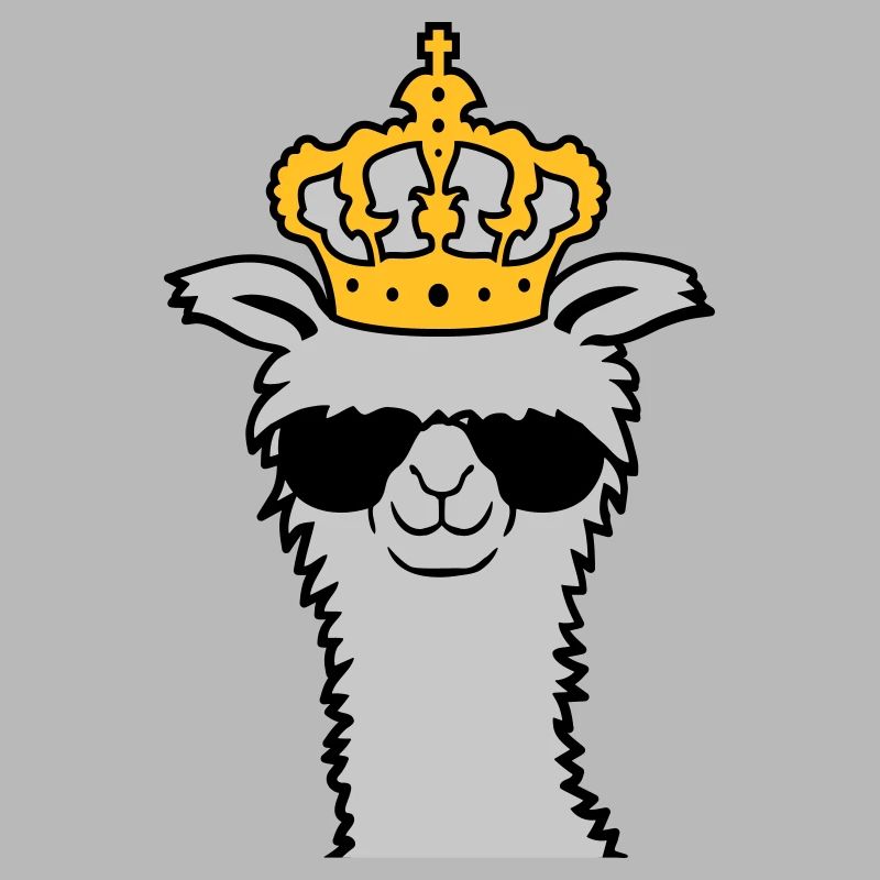 Lunettes de soleil King Llama cool
