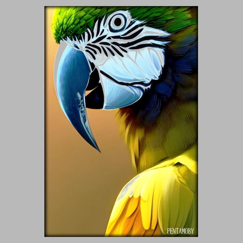Perroquet Perroquet Oiseau Oiseaux Ara Faune