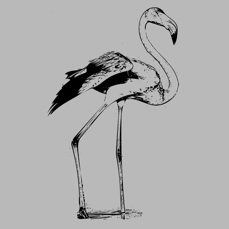 Flamant