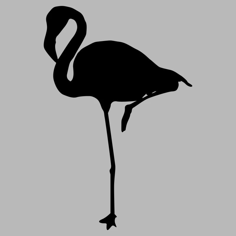flamingos