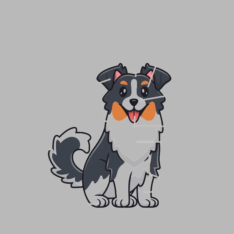 Australischer Schäferhund Aussie Dad Aussie Mom