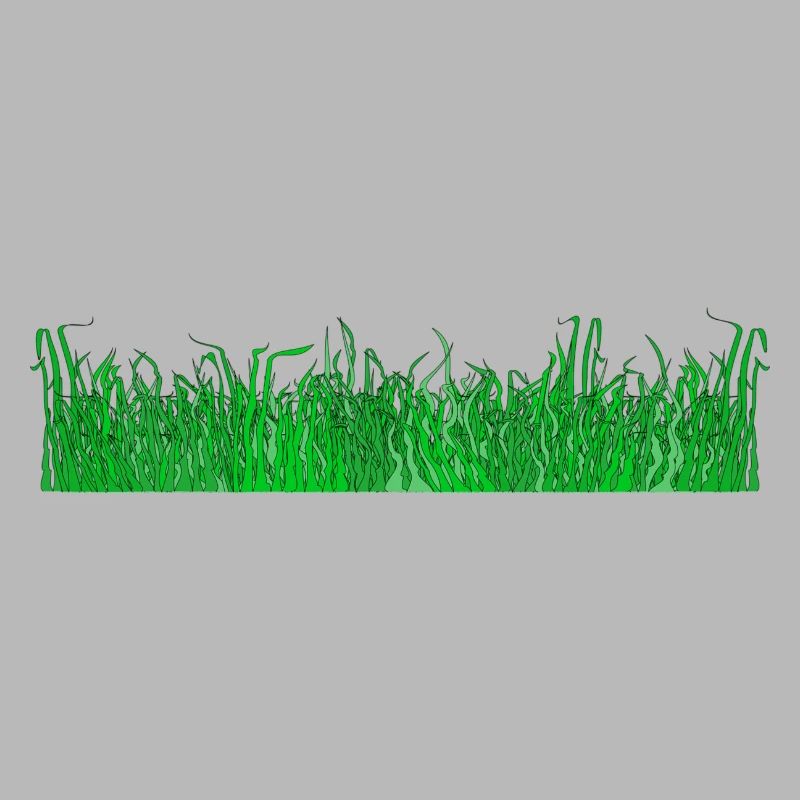 herbe