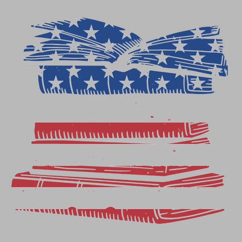 Reader Us Flag Reading