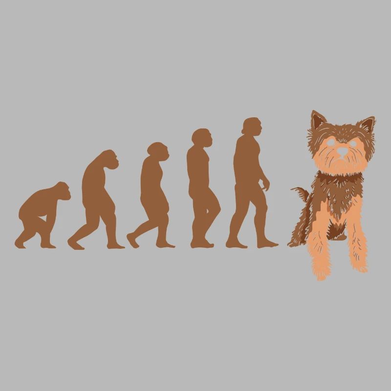 Evolution Yorkshire Terrier