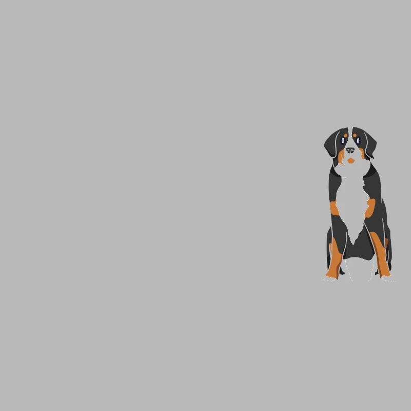Evolution Bernese Mountain Dog