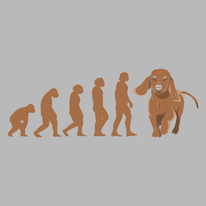 Teckel d’évolution