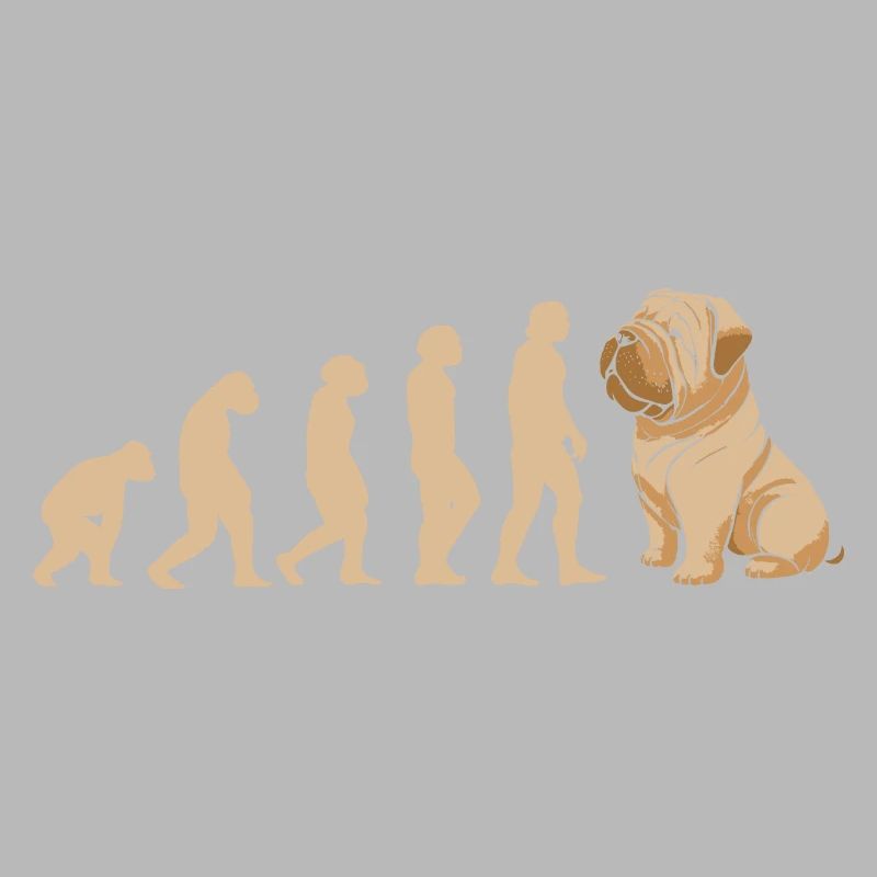 Evolution Shar Pei