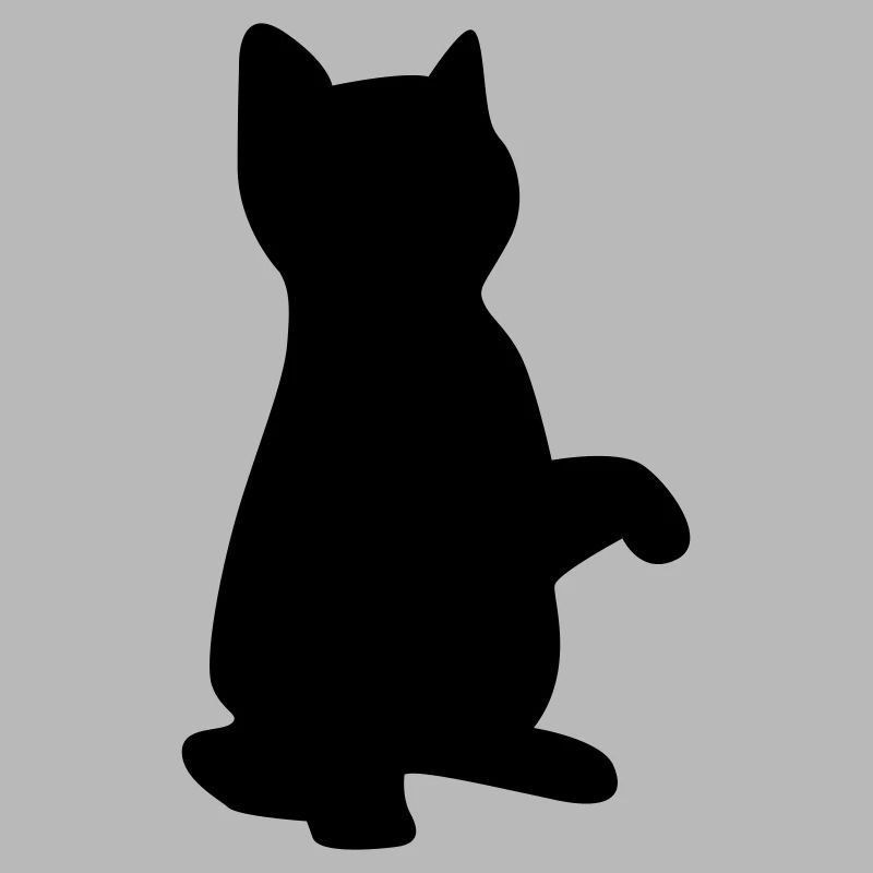 cat kitten