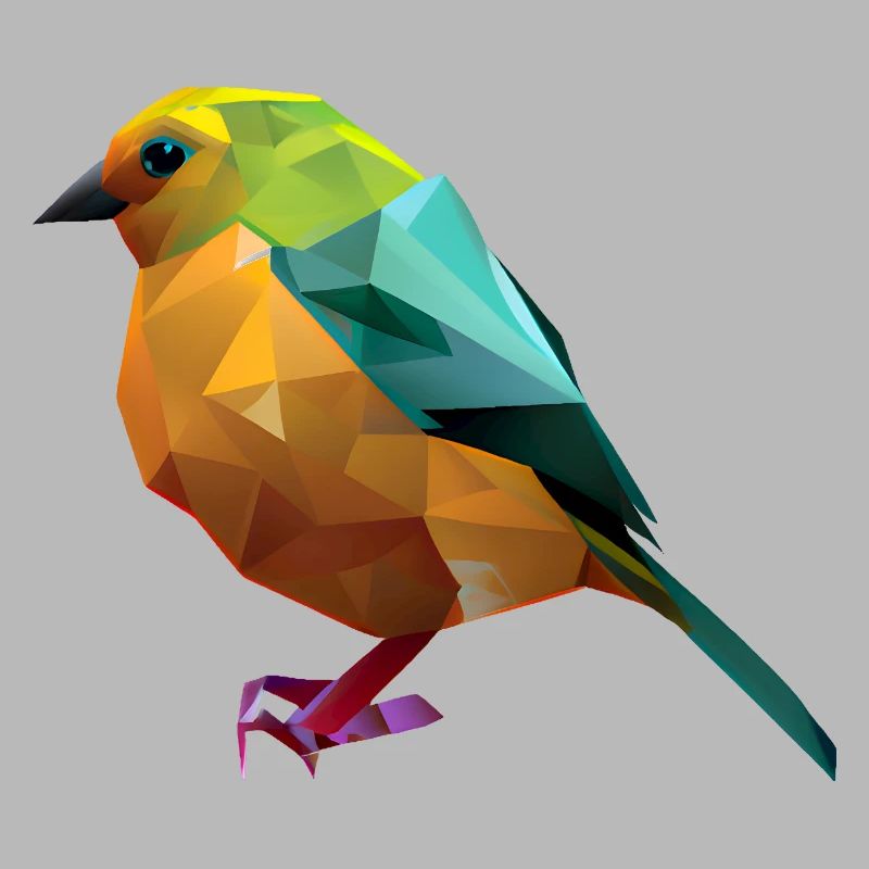 Conception d’oiseaux polygonaux