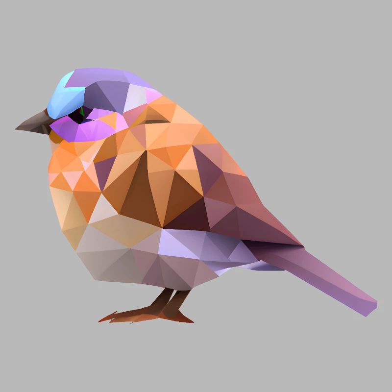 Conception d’oiseaux polygonaux