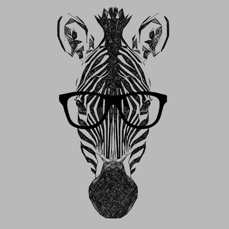 nerd_zebra