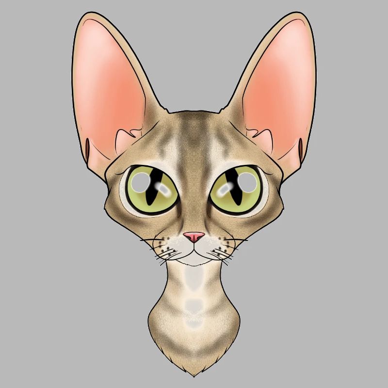 Cat Lover I Cat Face I Devon Rex Cat