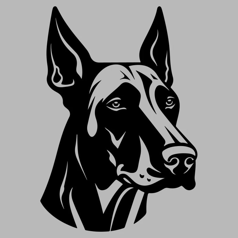 Doberman Hund Kopf