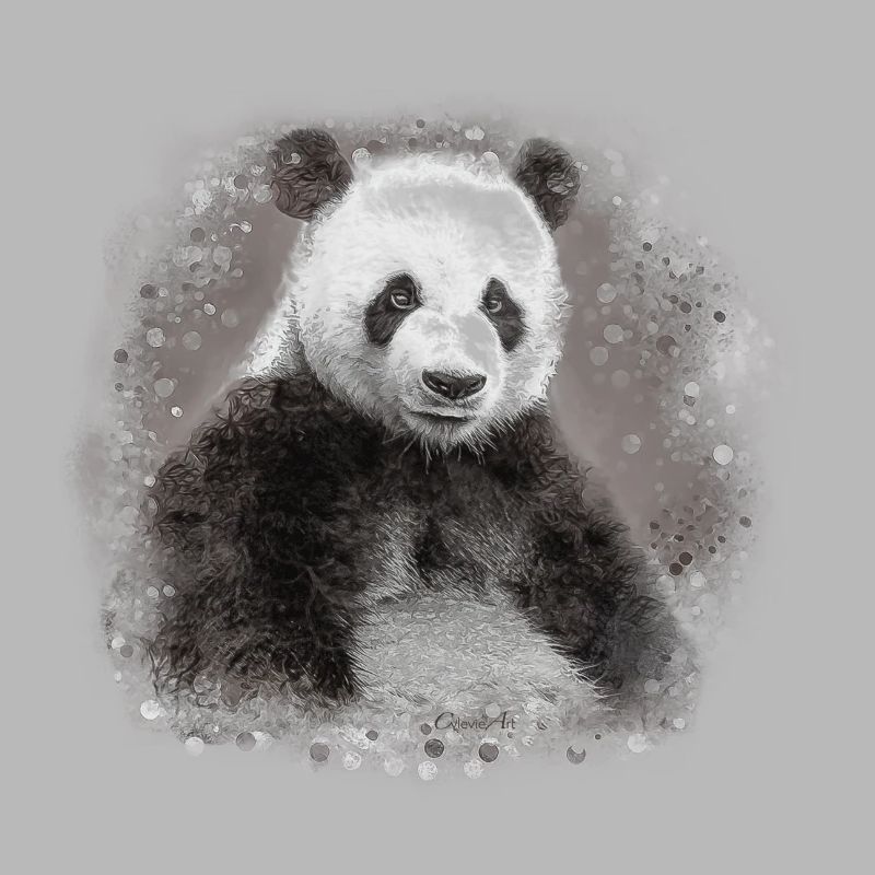 panda