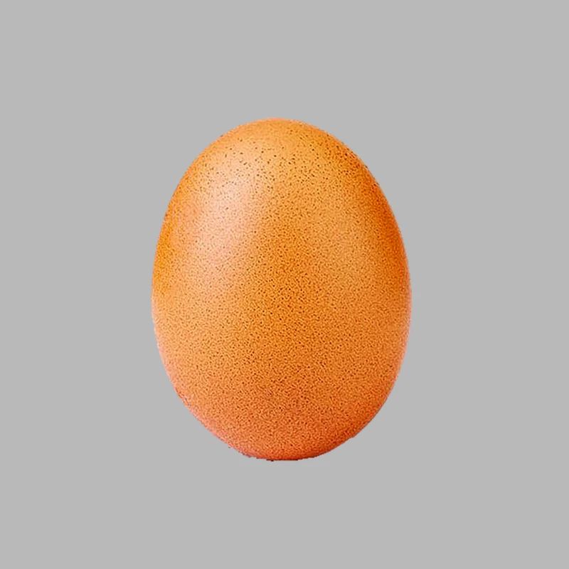 egg