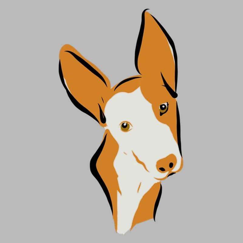 Podi