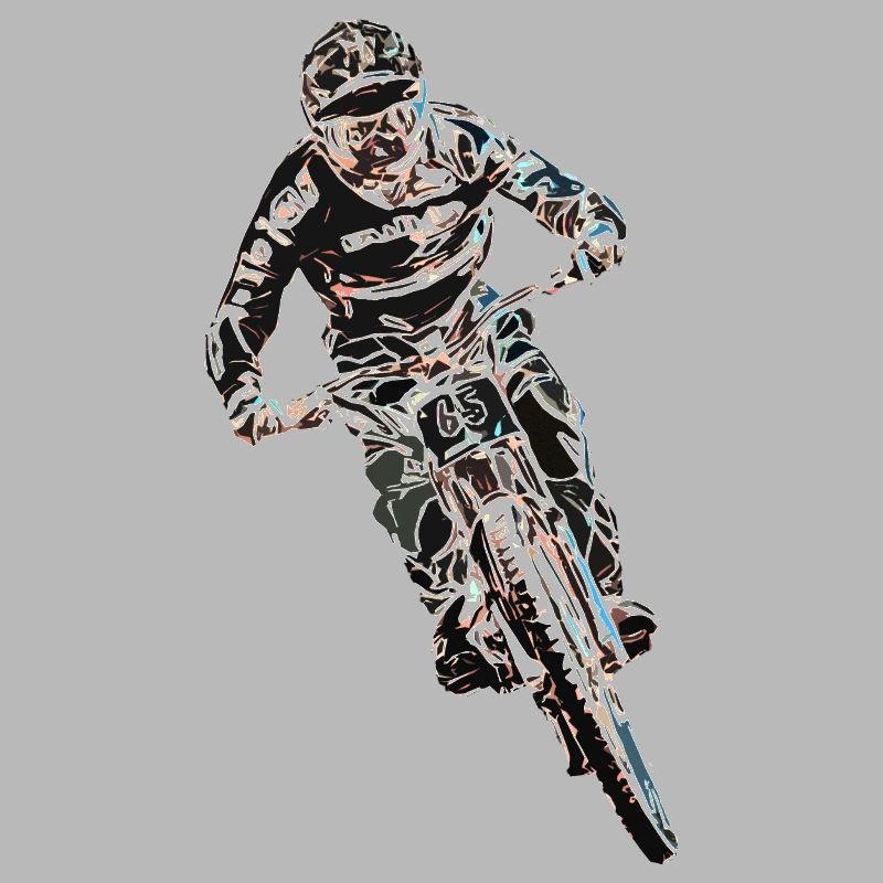 vtt mtb downhill
