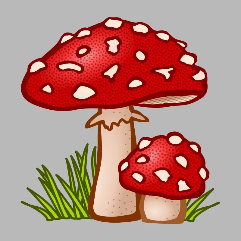 champignons champignons vegetables112 veggie veggie champignons