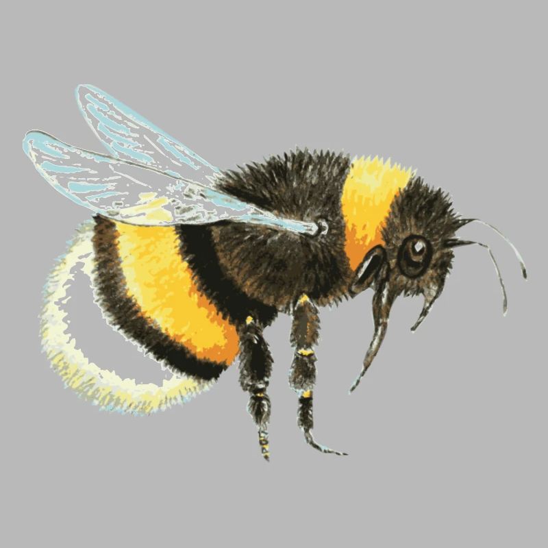 bumblebee