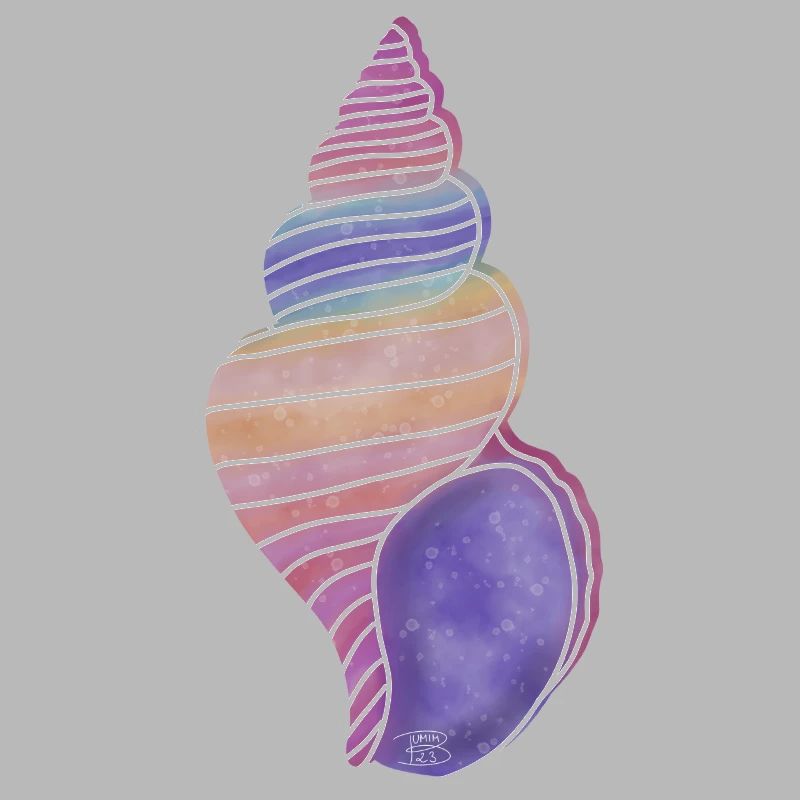 "Snail Shell", Boho Line Art Design, "Shells"