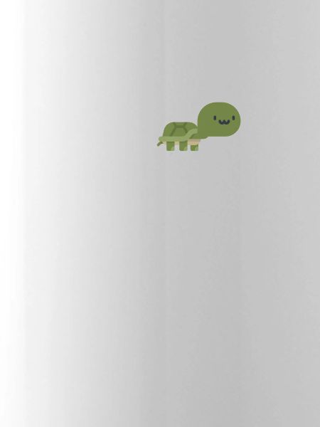 Turtles