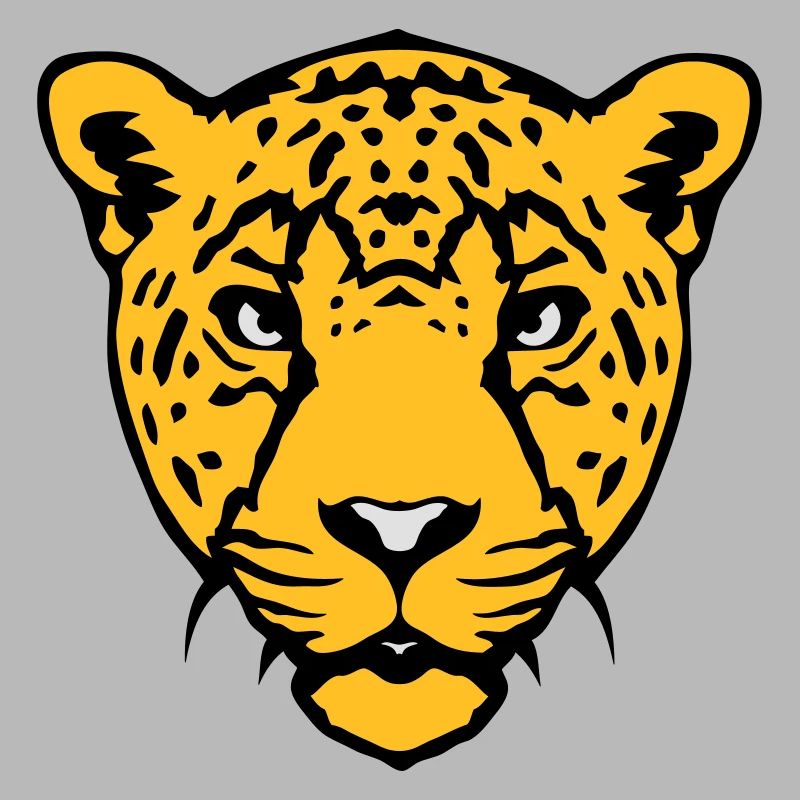 guepard animal sauvage 18