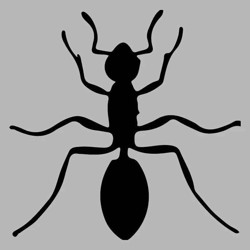 ant