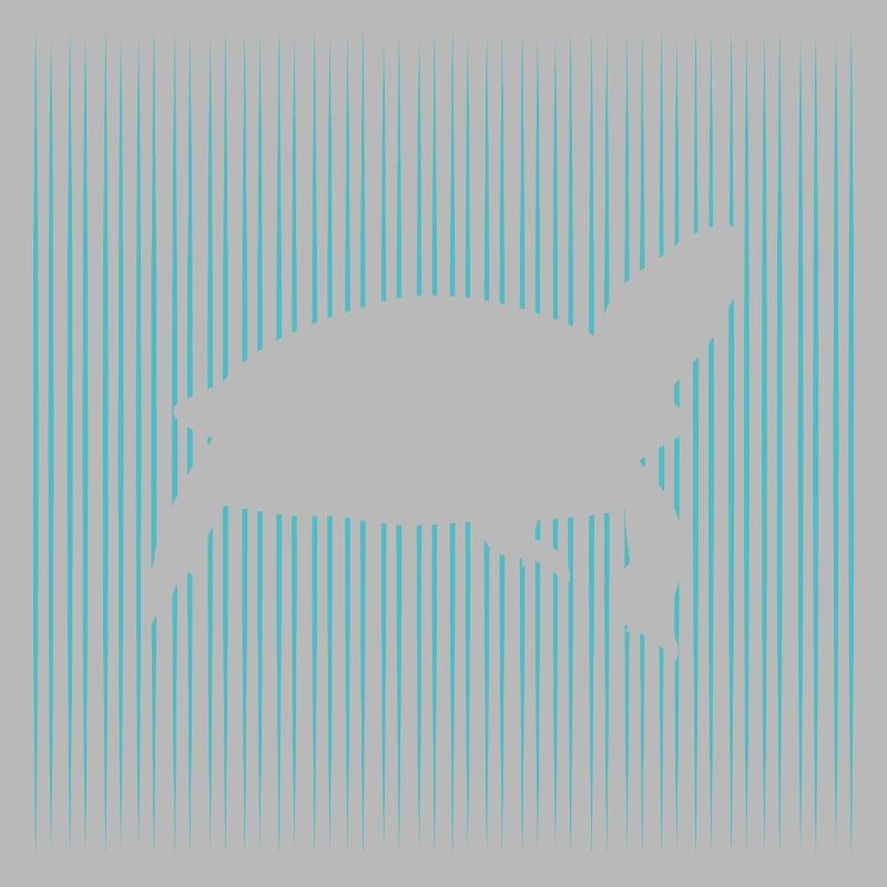 Shield toad with turtle