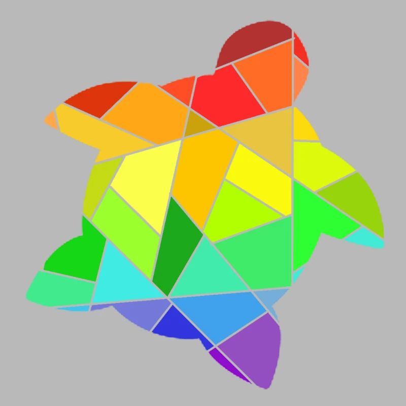Rainbow Geometric Figures Turtle
