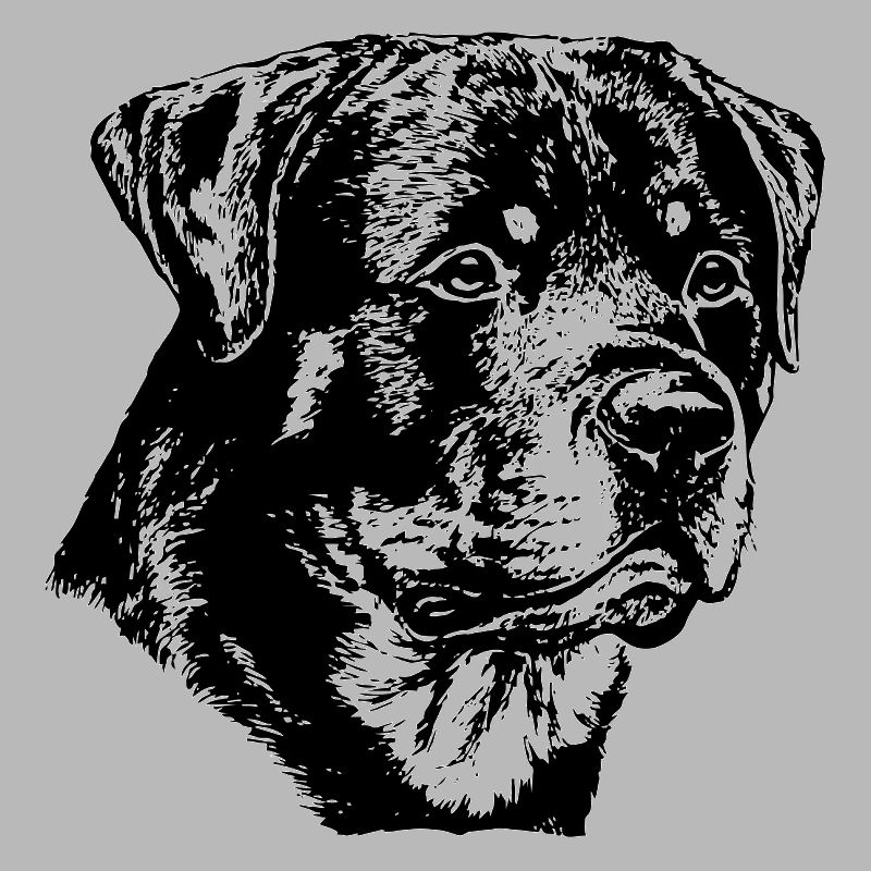 Rottweiler Hund