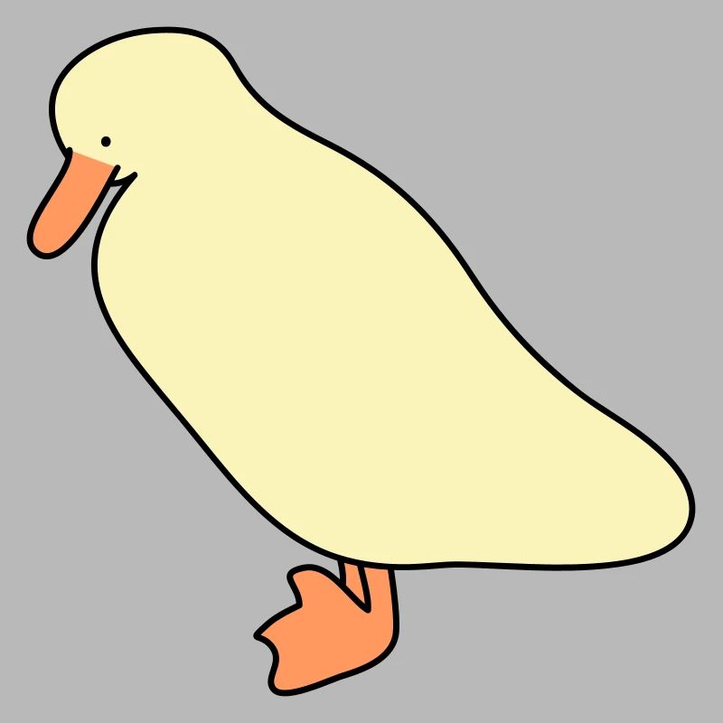 Canard 5