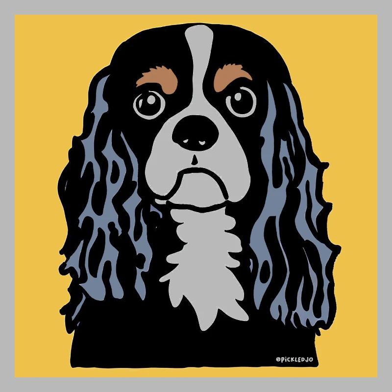 Cavalier King Charles Spaniel Doodle
