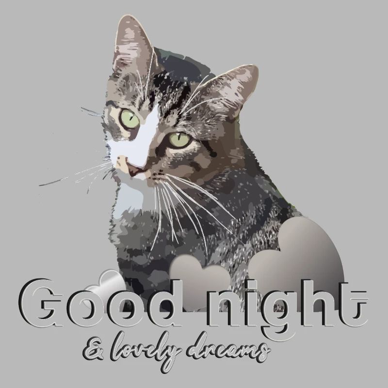 Sleep shirt good night good night