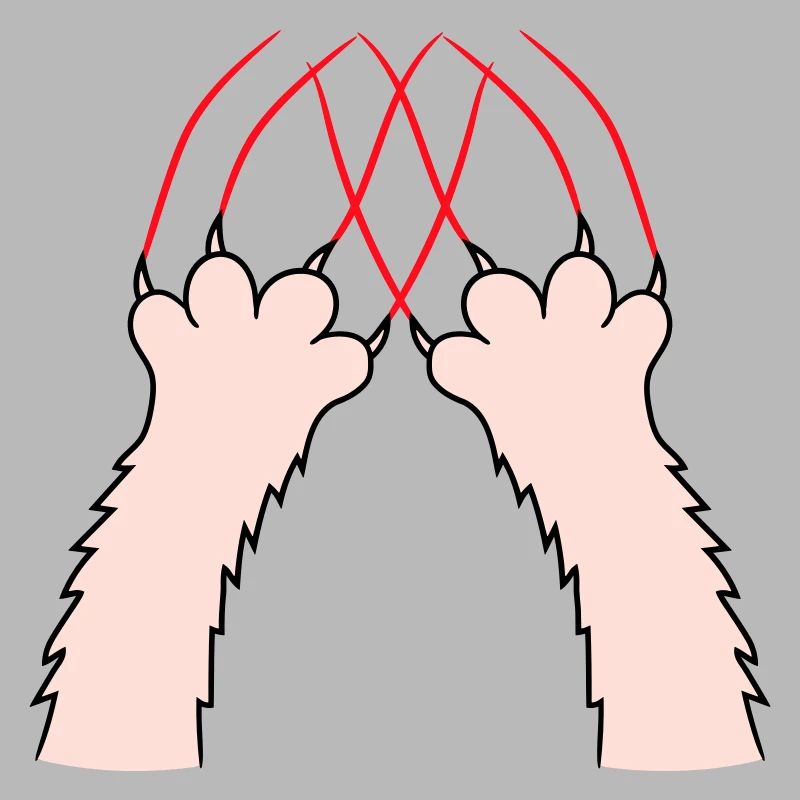 Chats, Griffes, Pattes, Pattes, Griffes, Griffures, Rayures