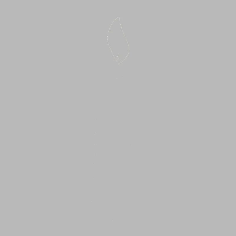 Candle Symbol Fire Light Shape