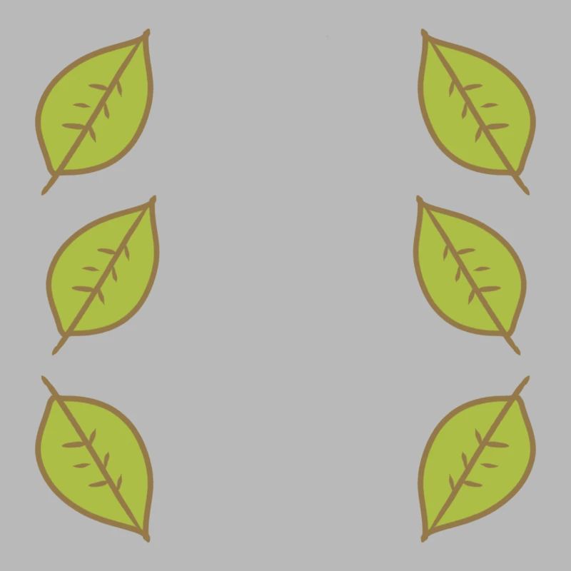 Pattern Leaf Leaves Frame Nature