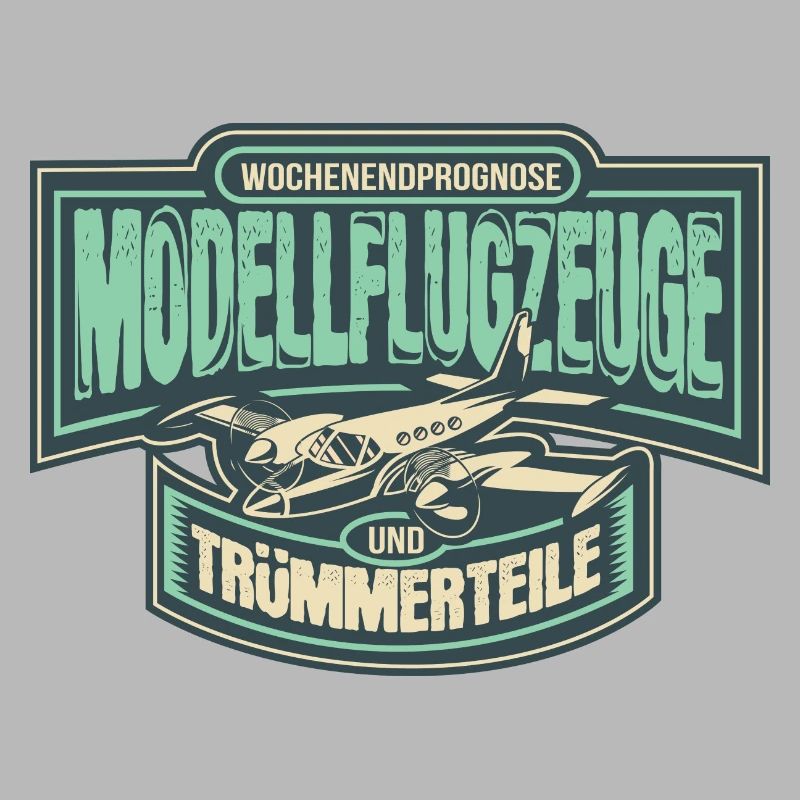 Model aircraft RC Model Model Model Pilot