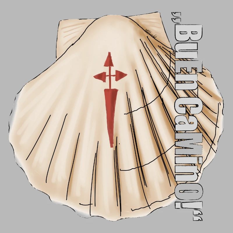 Scallop